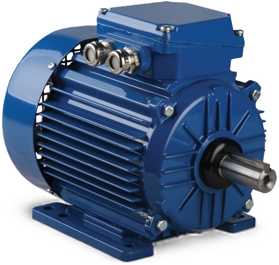 electric motor