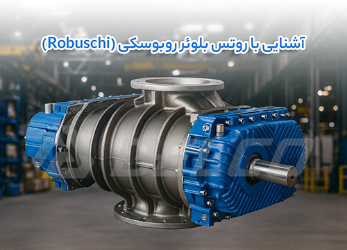 آشنایی با روتس بلوئر روبوسکی (Robuschi)