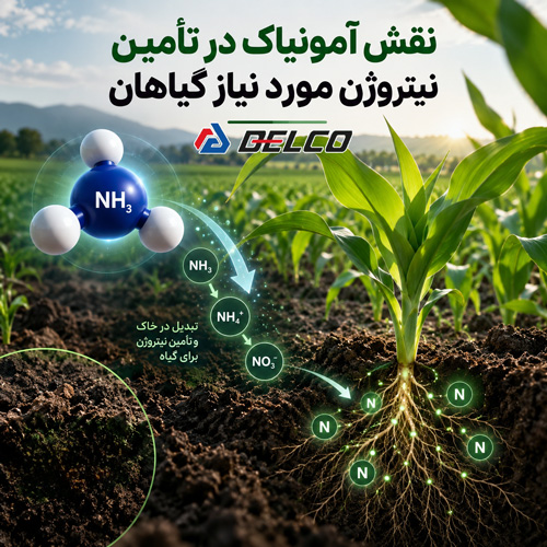 نقش آمونیاک در تأمین نیتروژن مورد نیاز گیاهان