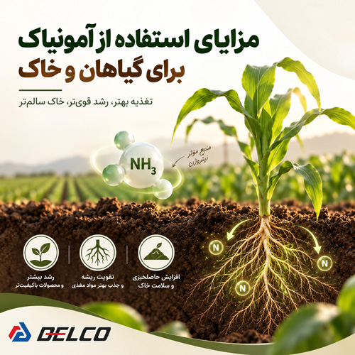 مزایای استفاده از آمونیاک برای گیاهان و خاک