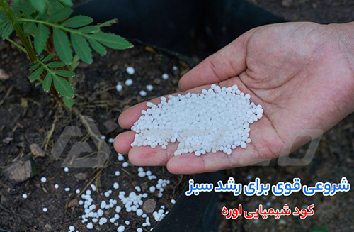 نکات کلیدی در استفاده از اوره