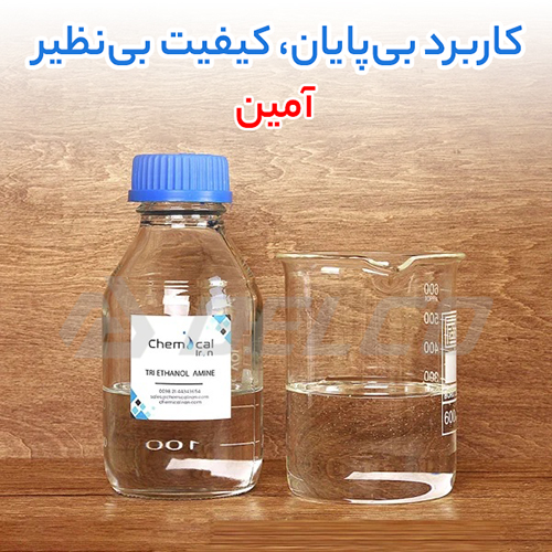 آمین ها