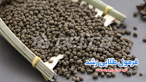 کود دی آمونیوم فسفات