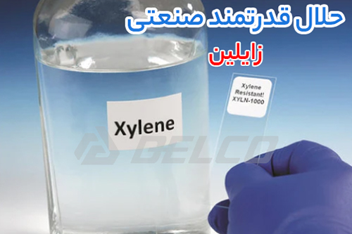 زایلین