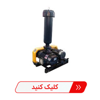انتخاب روتس بلوئر لانگ تک