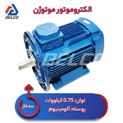 الکتروموتور 0.75 کیلووات سه فاز پوسته آلومینیوم موتوژن